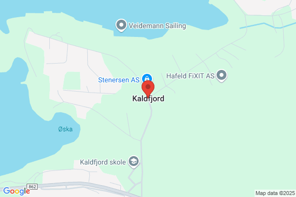 Renholderen