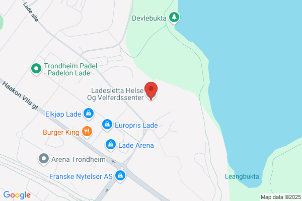 Ladesletta Hage