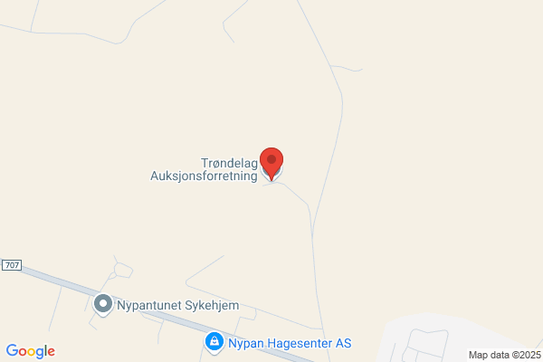 Trøndelag Auksjonsforretning