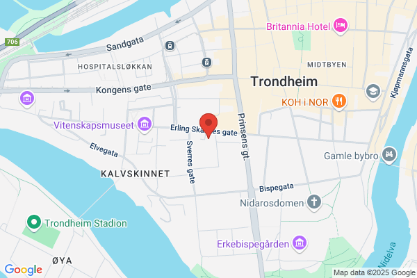 Selmer Skanska As