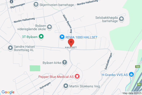 Hallset Florist