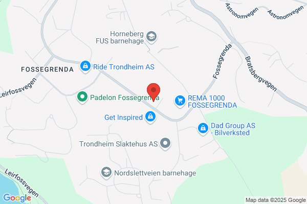 Fast Search & Transfer Asa