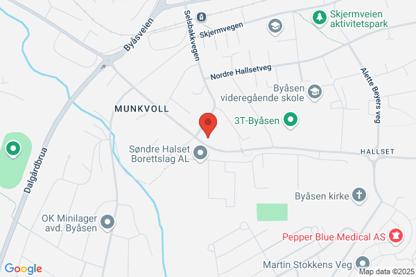 Skaget Geir Murmester As