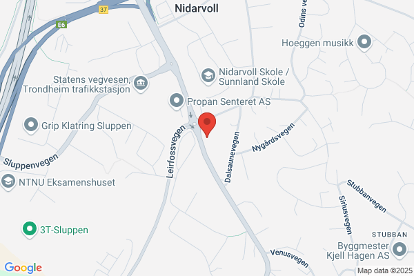 Hundefrisør Trine Madsen