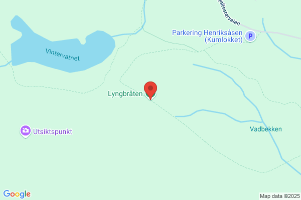 Lyng Gaute