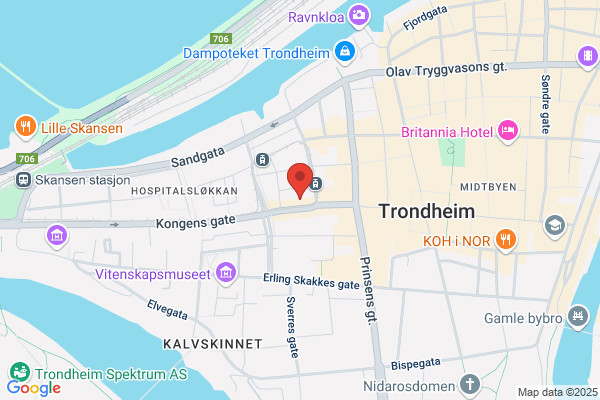 Service-ringen As