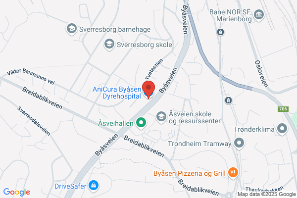 Byåsen Dyreklinikk As