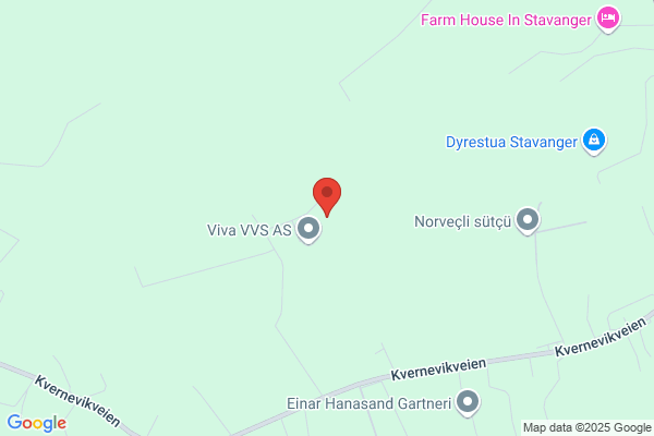 Riise Åsmund Bygg- Og Eiendomsservice