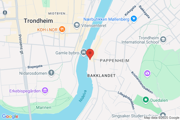 Den Gode Nabo
