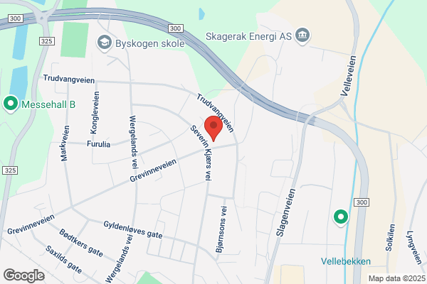 Tønsberg Elektriske AS
