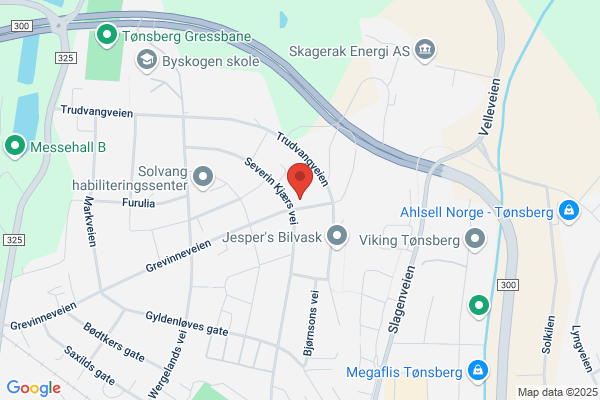 Eik Elektriske Ødegård Bjørn