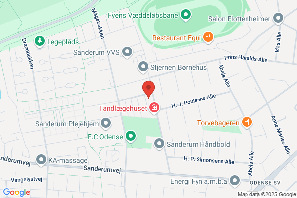 Tønsberg Og Omegn Astma- Og Allergiforening
