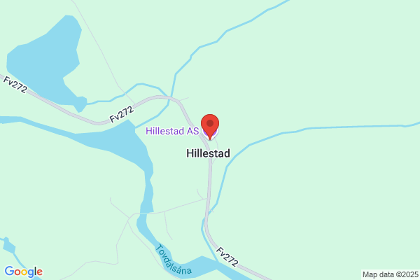 Hillestad Halvdan