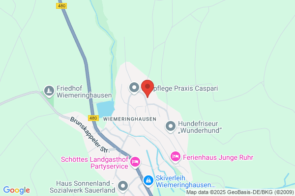 Naturheilschule Skandinavia