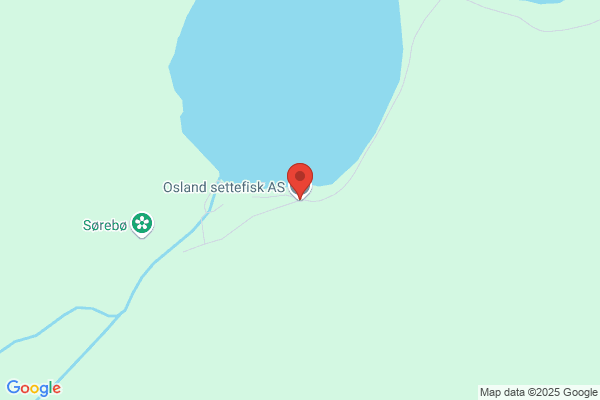 Oddsig Fiskeoppdrett A/s