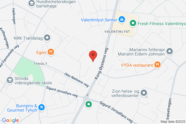 Nordic Vlsi Asa