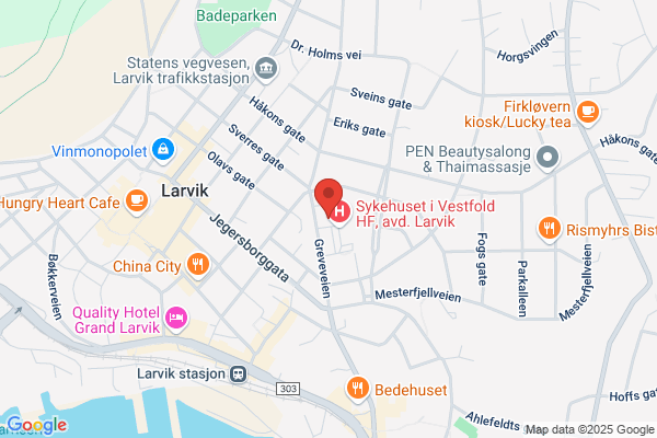 Samtaleterapaut og Familieveileder