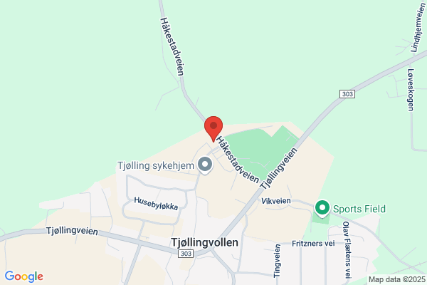 Tjølling Regnskap