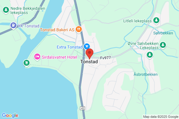 Tannhelsetenesta, Den Offentlege