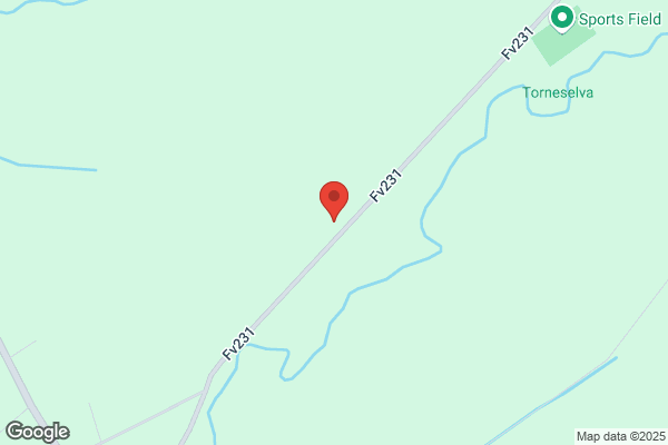 Tornes Turbusser AS