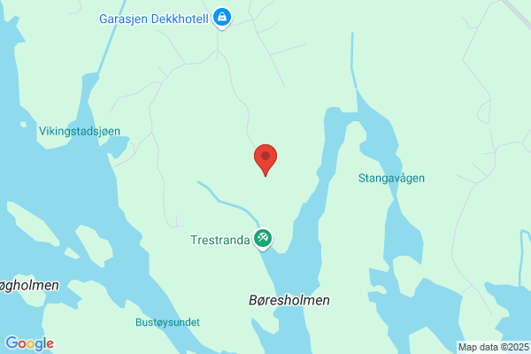 Vikingstad Svein Ans