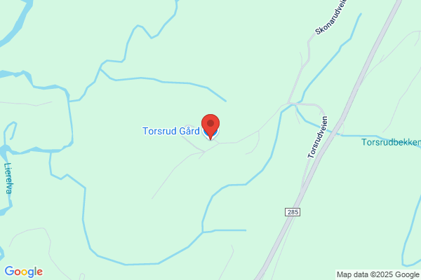 Tømrermester Gurandsrud AS