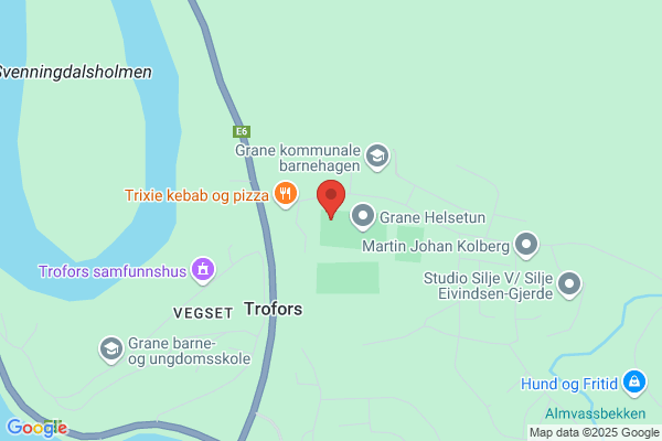 Kommunelegen I Grane