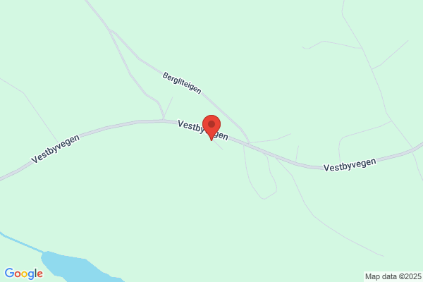 Svingen Erland