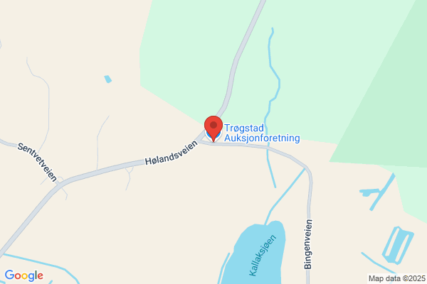 Trøgstad Auksjonsforretning Dillevik