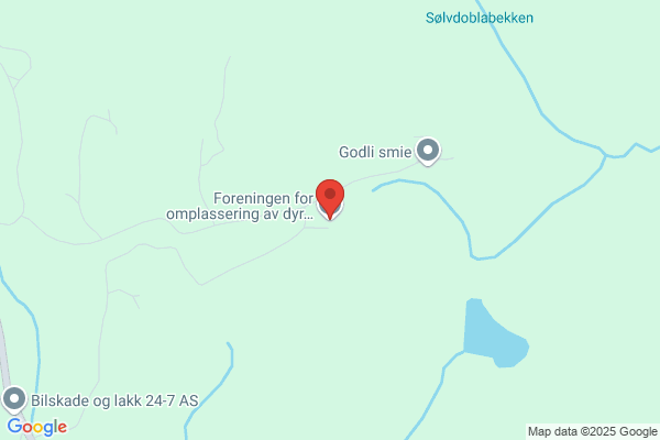 Stranna Omplassering Og Formidling Av Hunder