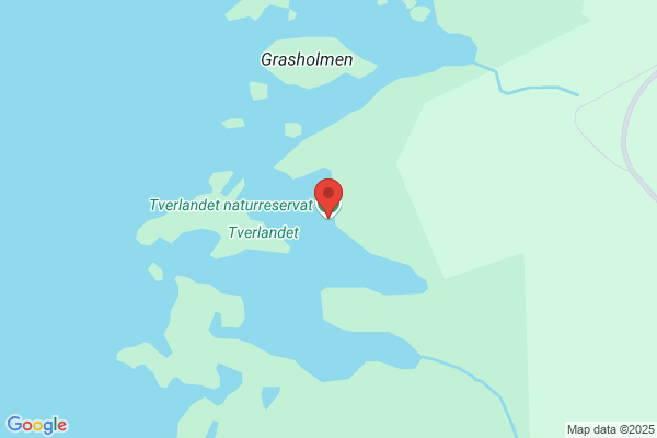 Bodø Sightseeing