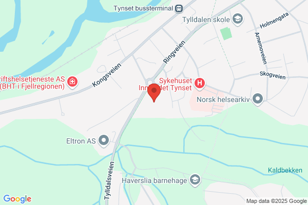 Nord-Østerdal Videregående Skole