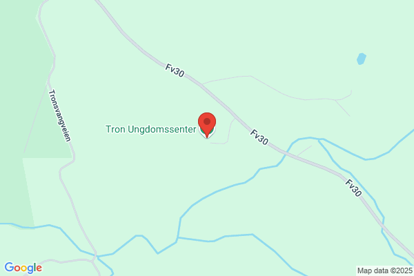 Tronsmoen Erling