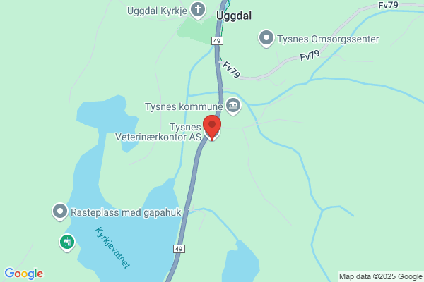 Veterinærvakta I Tysnes