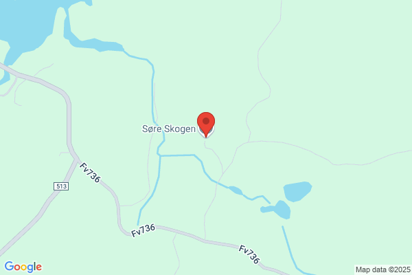 Irgens Tormod Siviløkonom