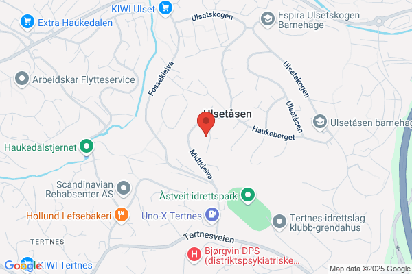 Iversen Jan Gunnar