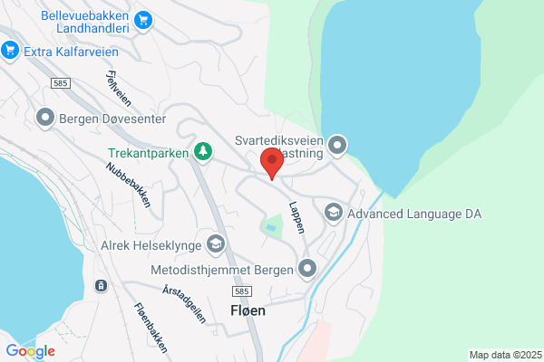 Tellefsen Franklin M Ingeniørforretning