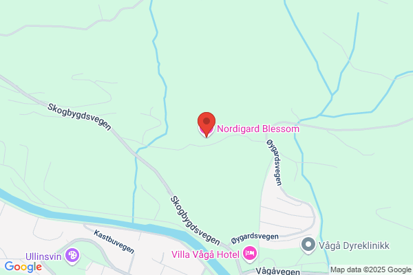 Besstrond Sæter