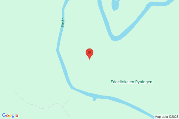Ryningen Alfred