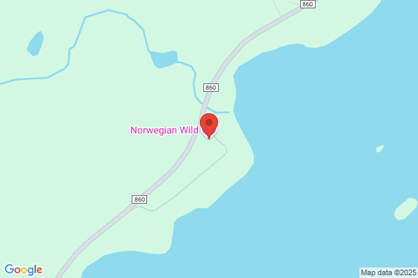 Tranøybotn Utleiehytter