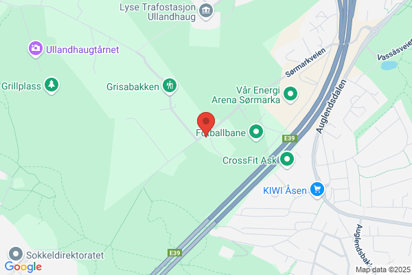 Glasservice Alf Harry Skumsvoll