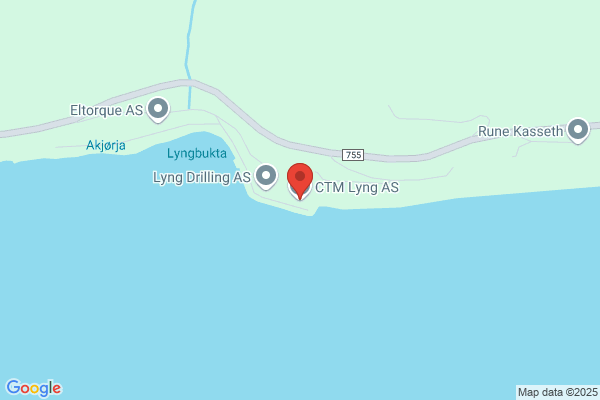 Lyng Elektronikk As