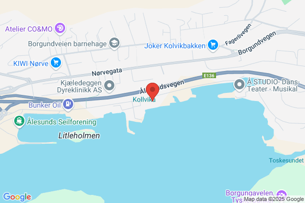 Aalesund Oljekledefabrikk As