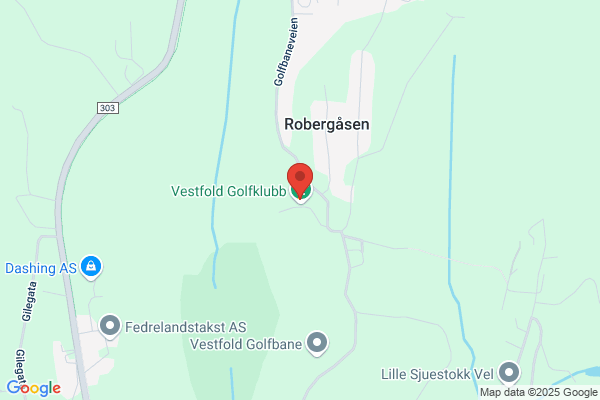 Golfsenteret Vestfold A/s