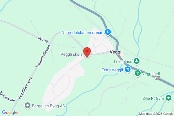 Kommunelegen I Rollag
