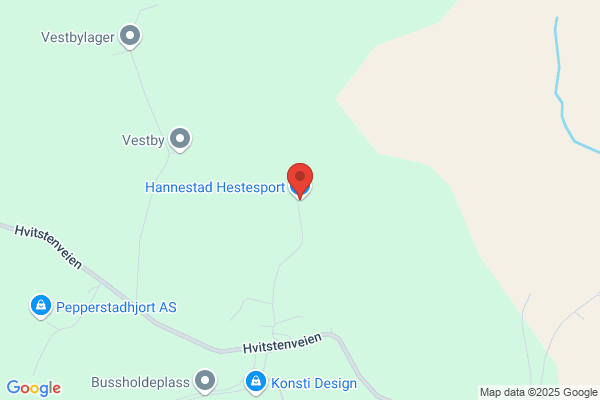 Hannestad Gruppen As