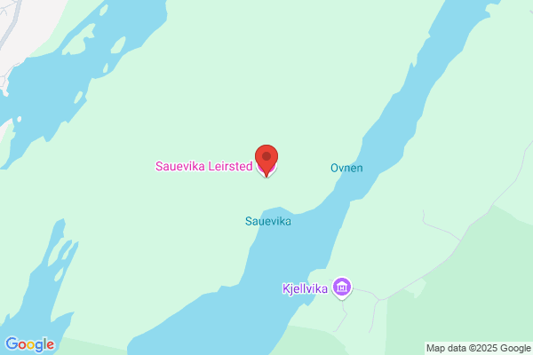 Sauevika Leirsted