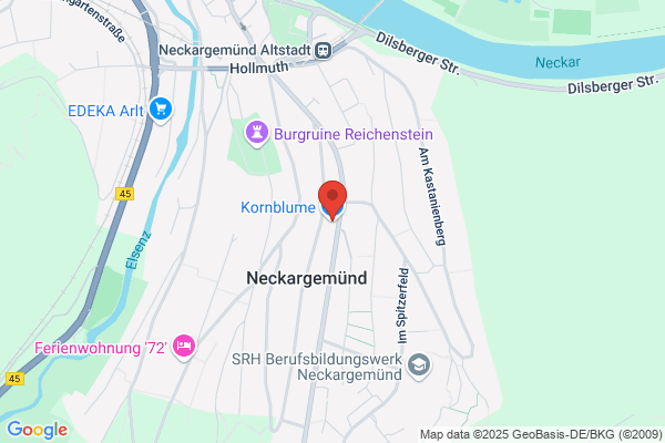 Kornblomen