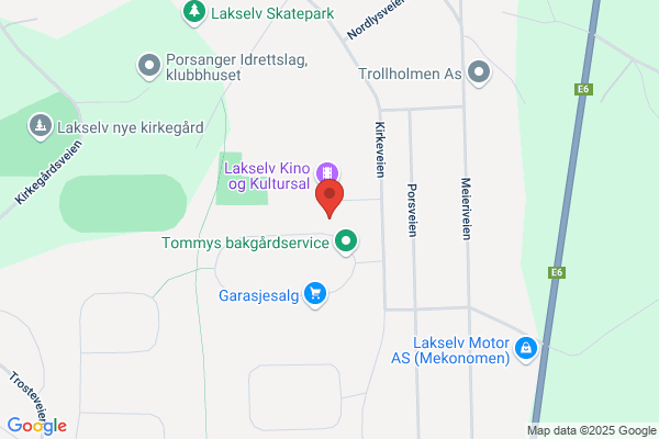 Tannhelsetjenesten, Den Offentlige