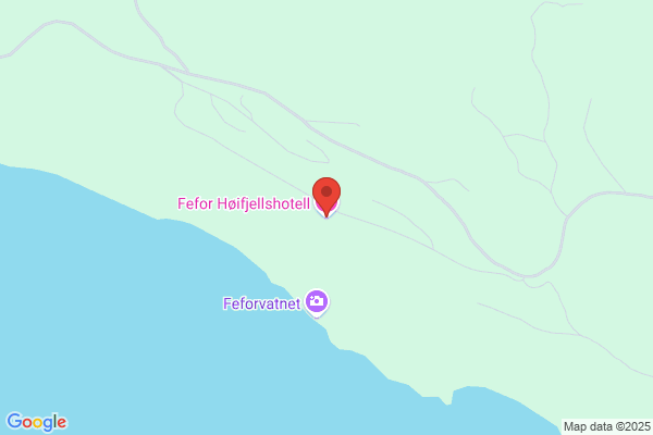 Fefor Høifjellshotell As